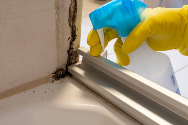Best Certified Mold Removal  in Rothschild, WI