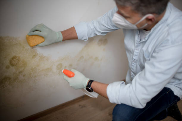 Best Residential Mold Removal  in Rothschild, WI