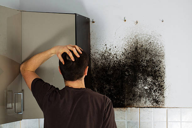 Best Mold Cleaning Services  in Rothschild, WI