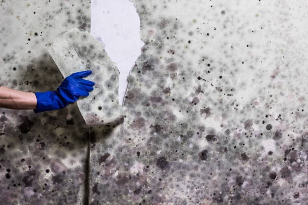 Water Damage Restoration in Rothschild, WI